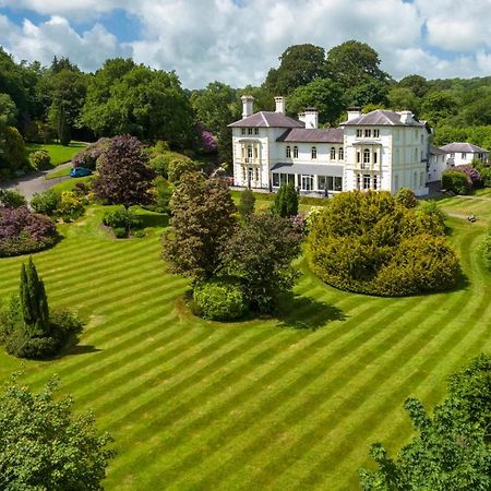 The Falcondale At แลมปีเตอร์ ภายนอก รูปภาพ