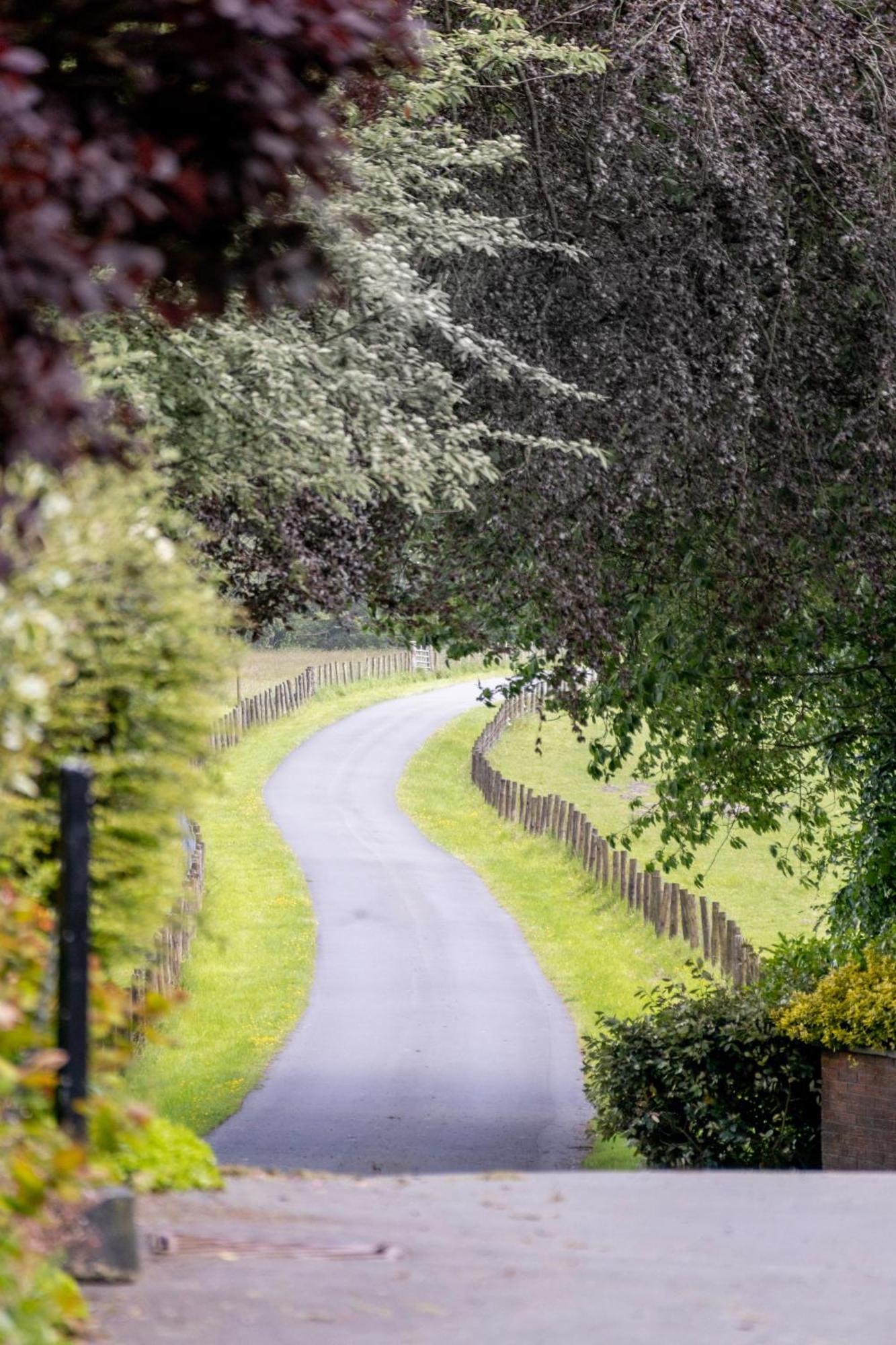 The Falcondale At แลมปีเตอร์ ภายนอก รูปภาพ