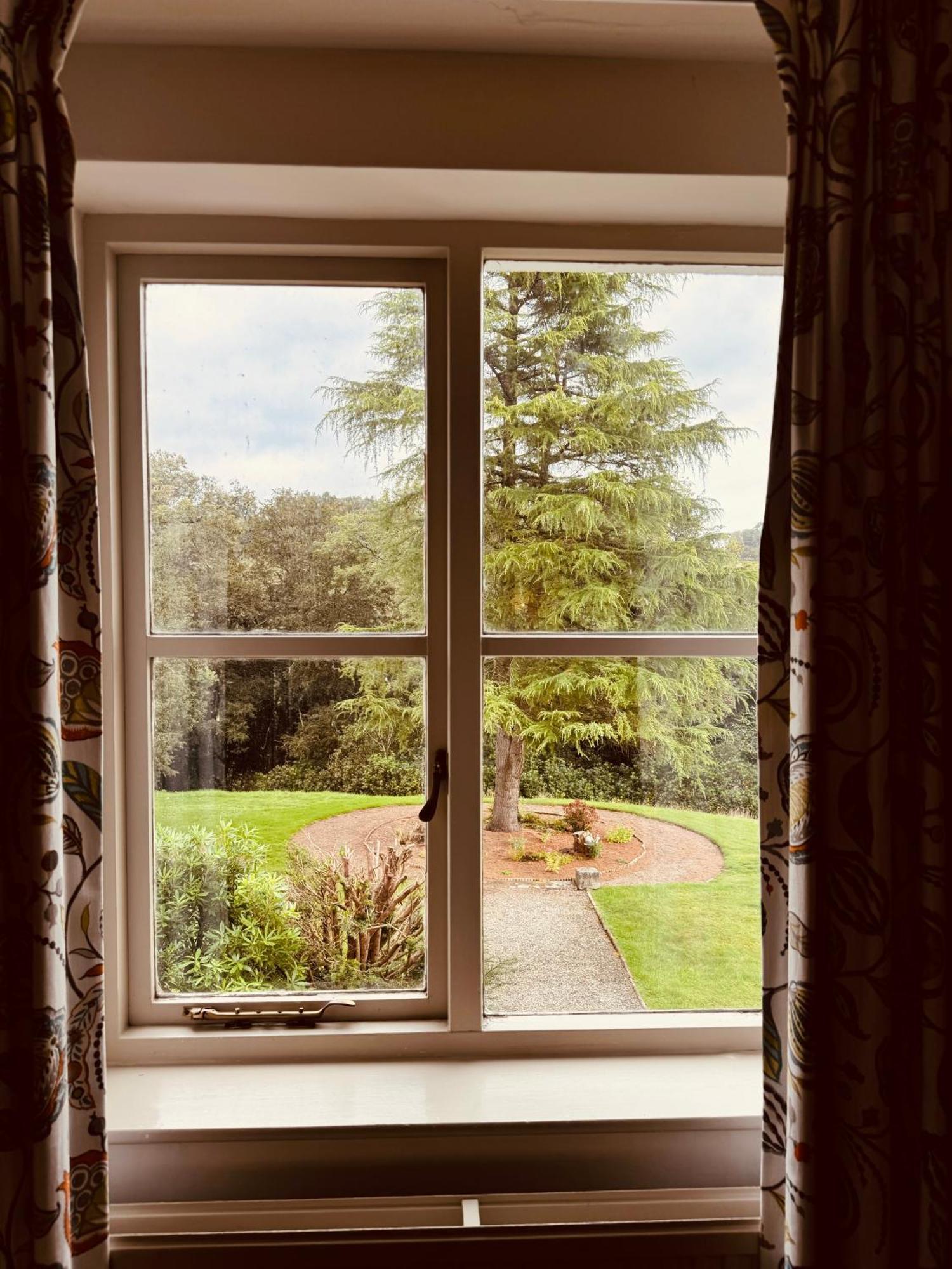 The Falcondale At แลมปีเตอร์ ห้อง รูปภาพ
